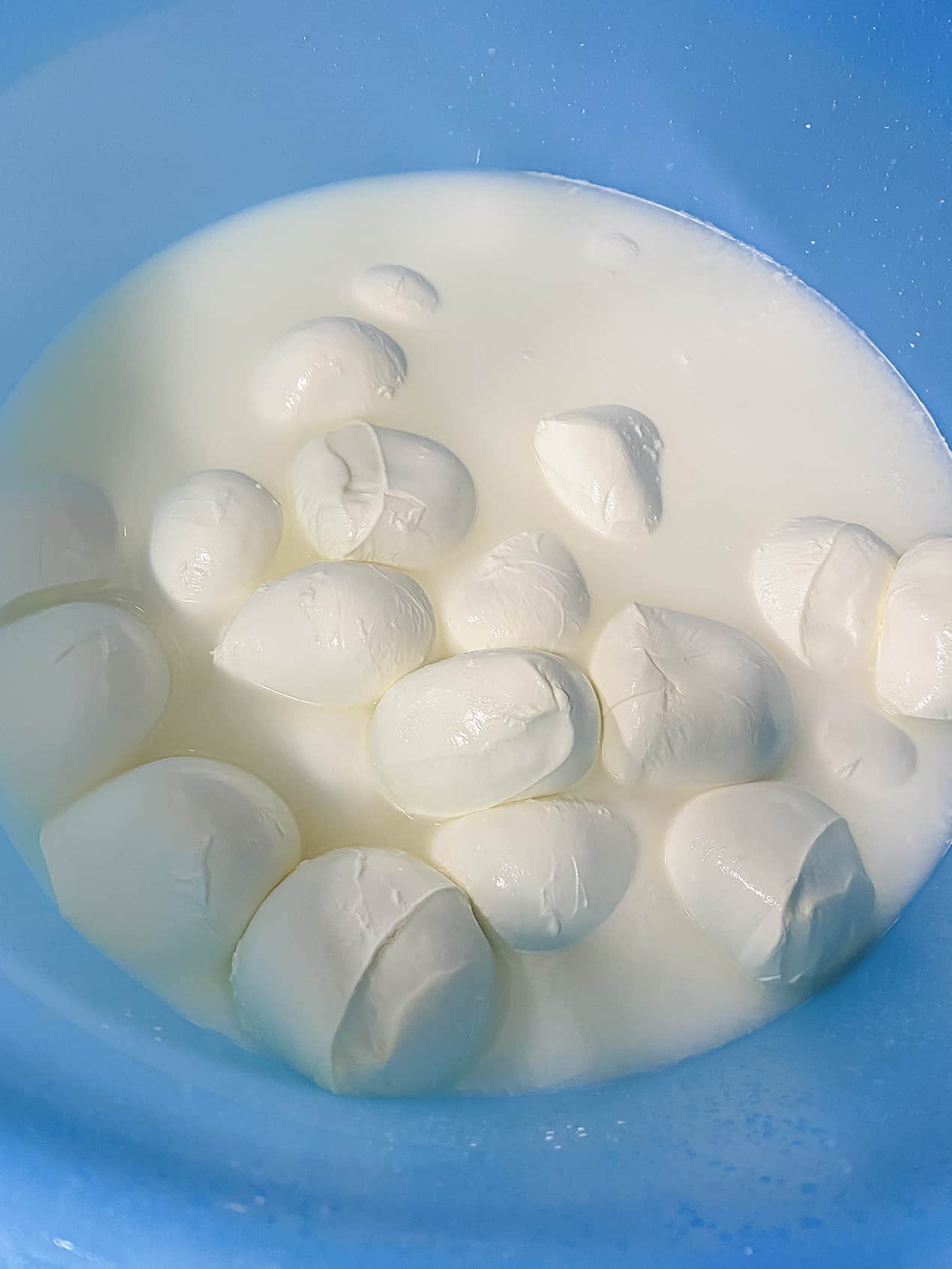 mozzarella fior di latte
